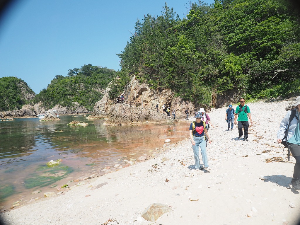 岩美町・山陰海岸の夜光虫
