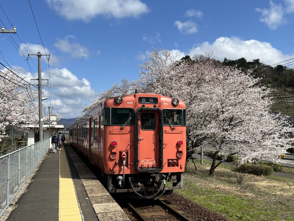 大岩駅桜