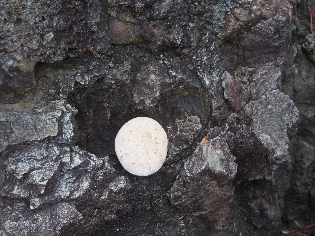 白色の岩石は浦富海岸（多分城原海岸）の花こう岩と凝灰角礫岩との比較