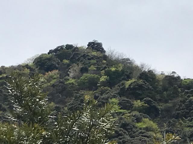 岩美町の向こう山の石山城とは？？