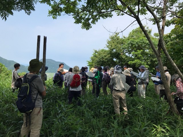 道竹城自然観察会と歴史散策