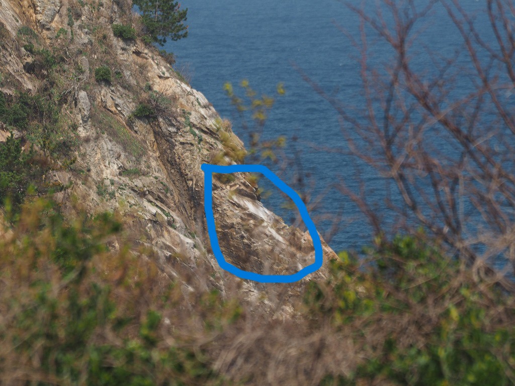 海鵜の排せつ物かな