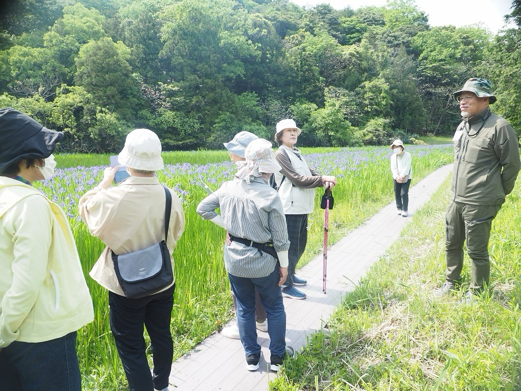 2025年牧谷又助池カキツバタ観賞会レポート